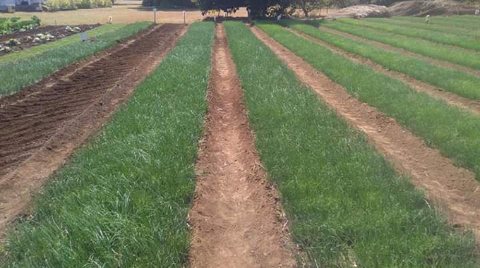 NEW: Digital platforms for agriculture launched