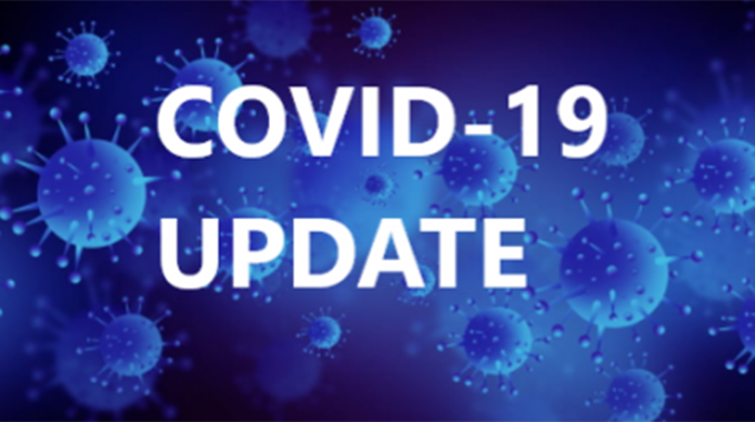 Upwards blip in Covid deaths