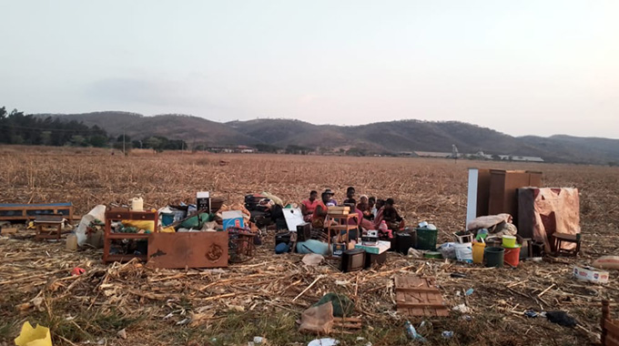Families still in the open at Mafiosi’s farm