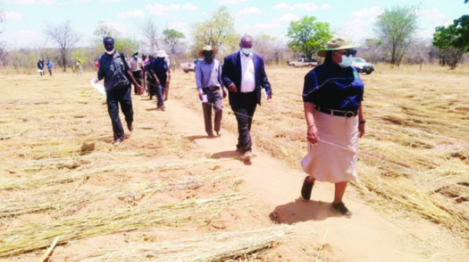 Pfumvudza launched amid high hopes