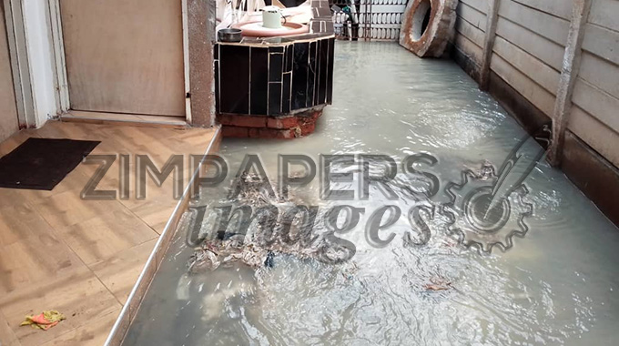 Sewage continues to flow in Warren Park, Harare