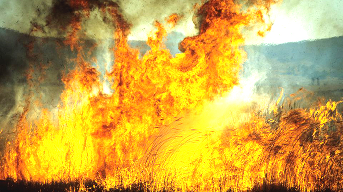 Petrol blast kills mother, child