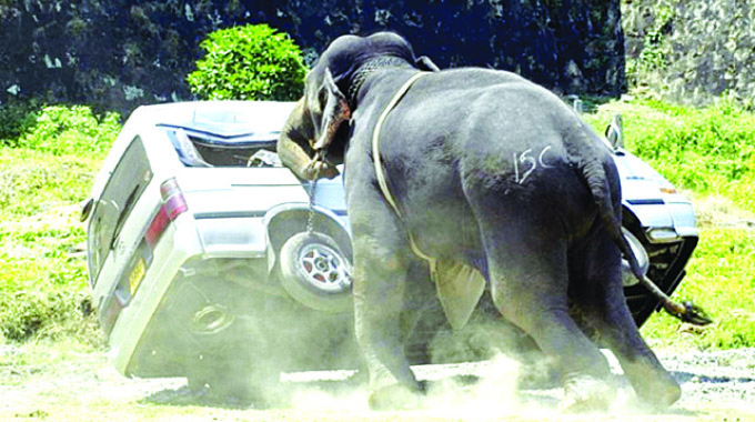 Promote innovative solutions to human-wildlife conflicts
