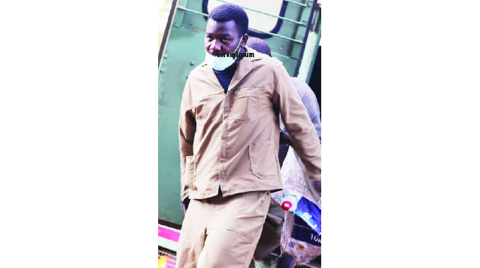 MDC-Alliance activist Haruzivishe granted bail