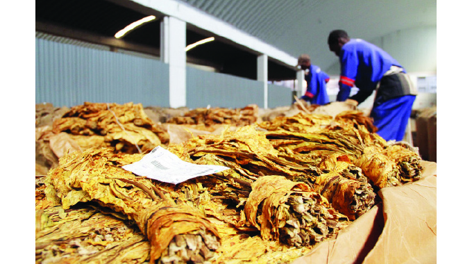 Tobacco exports earn US$80m