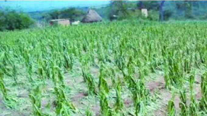 Farmers fret over dry spell