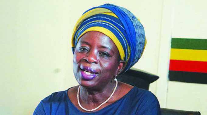 Opportunities await Zim leather in AfCTA