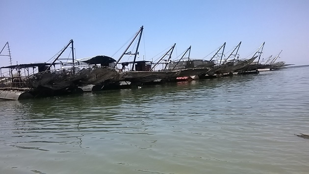 Zimbabwe, Zambia meet over-fishing on Lake Kariba
