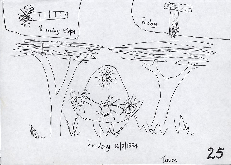 When the schoolchildren were asked to draw their observations, some produced drawings containing two objects, one which was cigar-shaped labeled 'Thursday' and another which was disc-like or oval-shaped, labeled 'Friday'