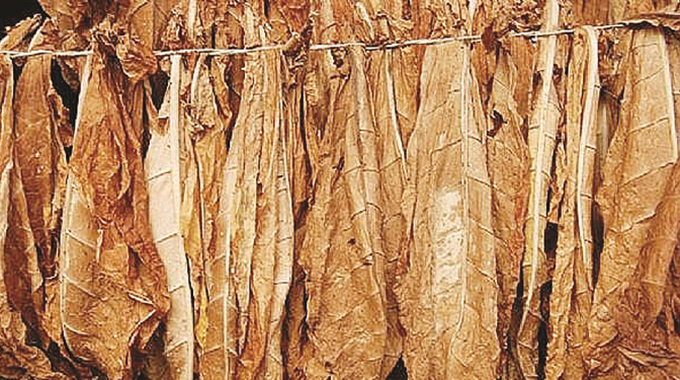 Tobacco farmers earn US$305, 2 million