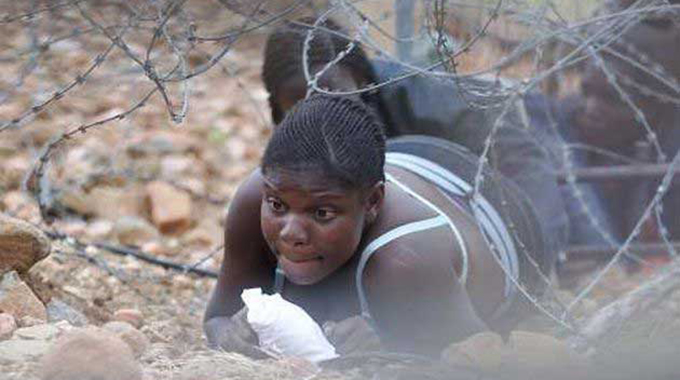 Blitz on smugglers nets $27m in fines