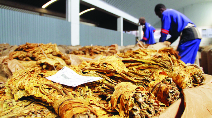 Farmers seek tobacco auction extension