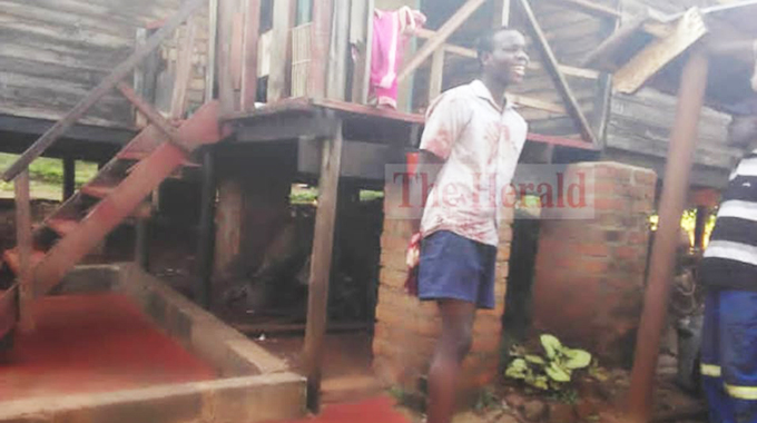 Teenager knifes mother to death