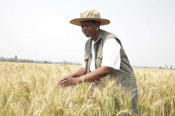 ‘Do not understate women’s contribution to agriculture’