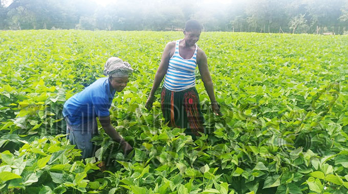 ‘Training will give farmers a sense of business’