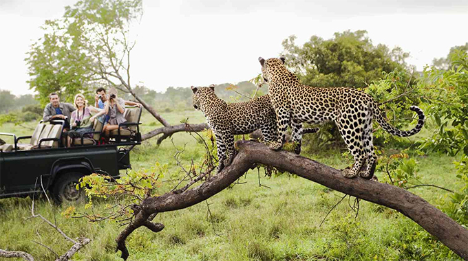 Kruger battles floods in tourist season