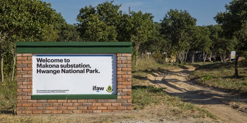 ZIMBABWE : un poste d’écogardes voit le jour au sein du parc national de Hwange