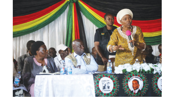 War vets hold interactive meeting with Minister Muchinguri-Kashiri