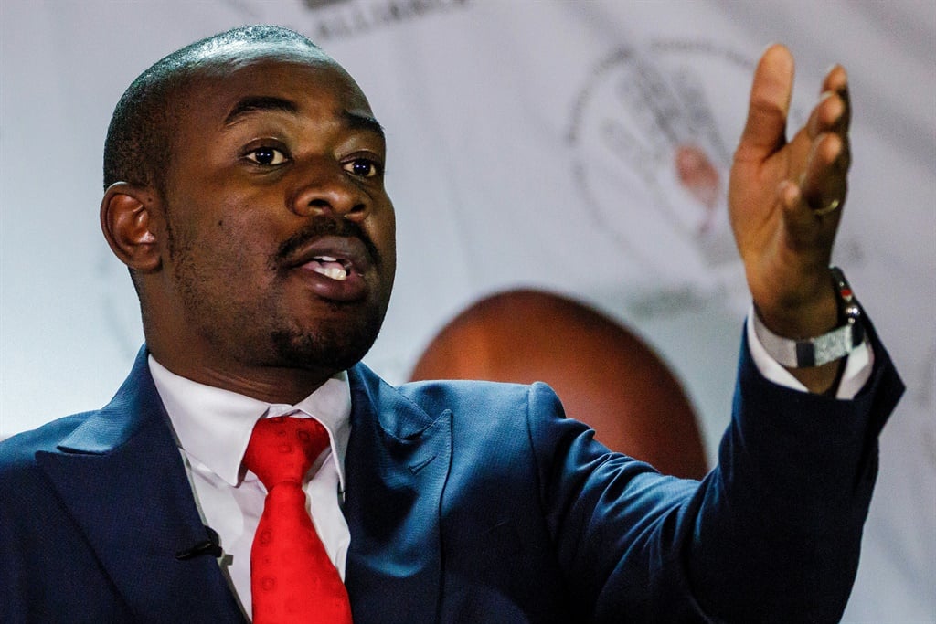 Opposition leader Nelson Chamisa said the ruling by the high court was President Emmerson Mnangagwa's way of plunging Zimbabwe into an electoral and national crisis.