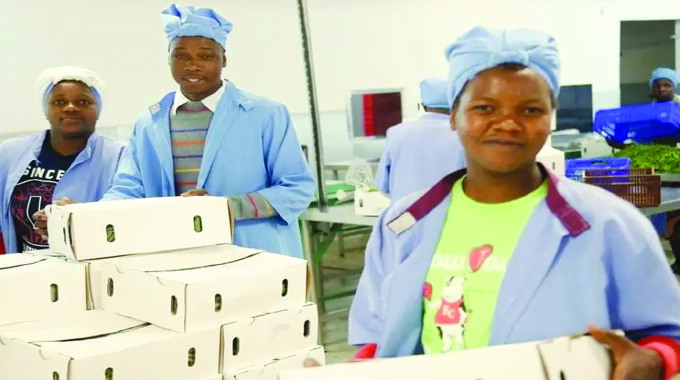 Horticulture firm secures e10m for expansion, exports
