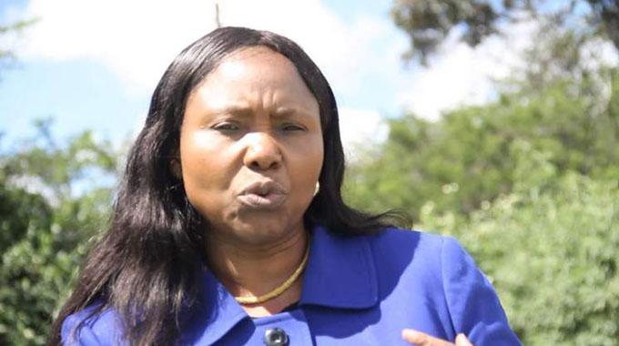 Electoral system water-tight to rig: Zanu PF