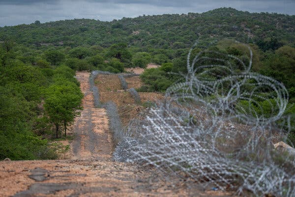 A cleared road in a forest, lined with coils of razor wire and stretching into the distance, marks the border between South Africa and Zimbabwe.
