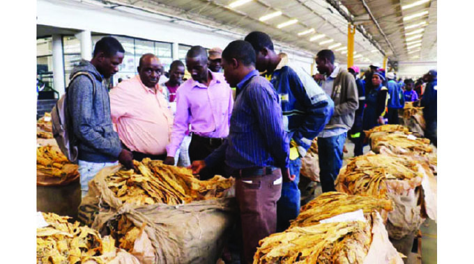 Boost for tobacco value chain