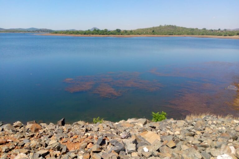 Discoloration in the Matevza Dam, two weeks after a spill at Bikita Minerals. The mine was fined the maximum possible by environmental auhorities. Image by Tatenda Chitagu.