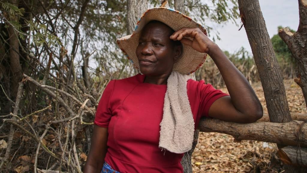Georgina Kwengwere stands dejected at the entrance to her abandoned vegetable garden, where she normally grows winter carrots, onions and tomatoes under irrigation but this year because of the El-Nino induced drought the nearby Kapotesa dam in Mudzi, has run completely dry leaving the farmer no water for irrigation. (Jekesai Njikizana/AFP) Georgina Kwengwere stands dejected at the entrance