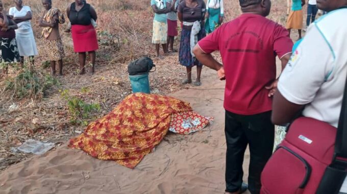 Kariba woman killed by elephant