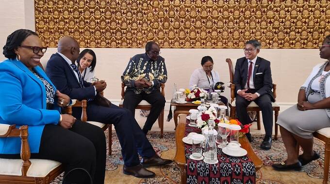 Zim keen on deals with Indonesia: VP Mohadi