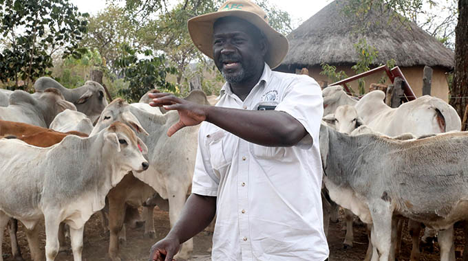 Extremely hot, dry conditions jolt farmers