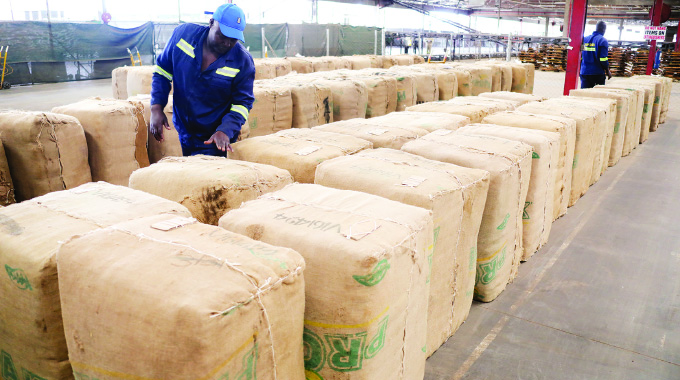 Tobacco farmers hopeful as marketing season starts