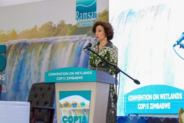 UNESCO DG participating in the COP15, Zimbabwe